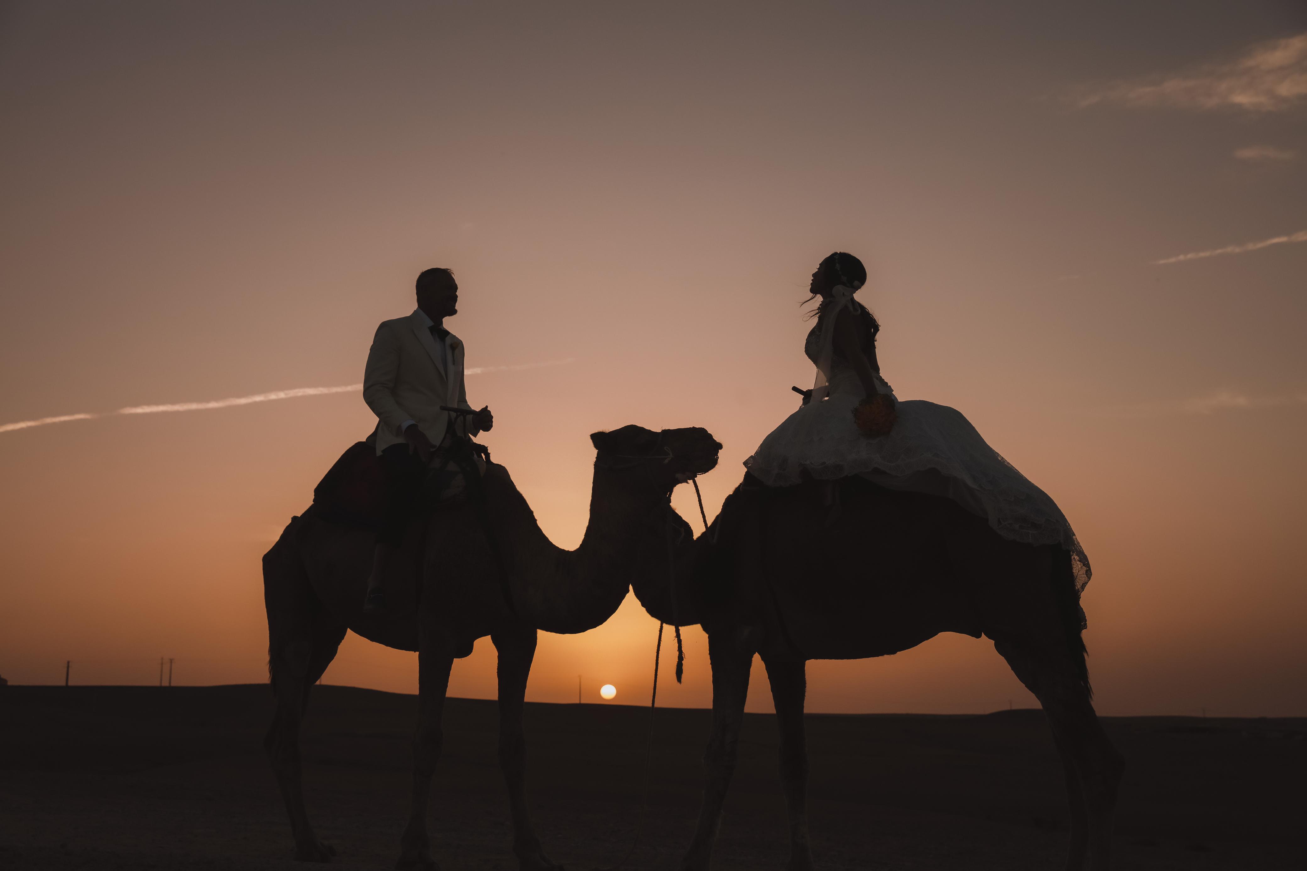 WhatsApp Image 2025-03-21 à 22.41.25_9991c271.jpg